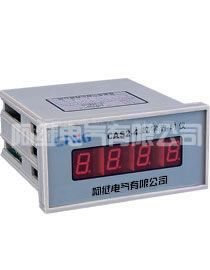 CAS2-4(CSY-5)数字计时仪